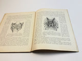 c.1890 Dutch Anatomy Book with Moveable , The Brain and the Senses of Man