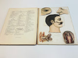 c.1890 Dutch Anatomy Book with Moveable , The Brain and the Senses of Man
