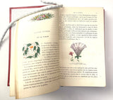 1867 L’Herbier des Demoiselles, Edmond Audouit