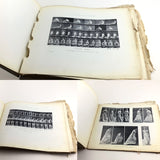 1907 The Human Figure in Motion, Mubridge