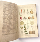 1862 Traité des Plantes Médicinales Indigènes Précédé d'un Cours de Botanique, Antonin Bossu