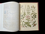 C.1890 Nos fleurs, plantes utiles et nuisibles, by Sablon