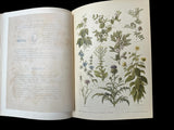 C.1890 Nos fleurs, plantes utiles et nuisibles, by Sablon