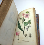 1804 1st UK Edition Elements of Botany by Barton