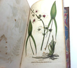 1804 1st UK Edition Elements of Botany by Barton