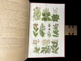 c.1900 Livre d'Or de la Santé [Anatomy/Medicine] 3 Volume Set