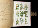 c.1900 Livre d'Or de la Santé [Anatomy/Medicine] 3 Volume Set