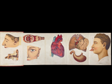 c.1900 Livre d'Or de la Santé [Anatomy/Medicine] 3 Volume Set